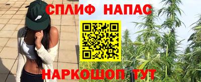 Альфа ПВП Славянск-на-Кубани